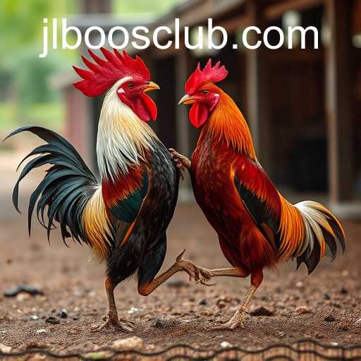 Exploring the Excitement of Sabong Games: The Role of JLBOOS CLUB